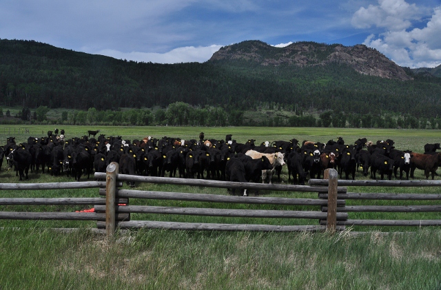 Highway 160 between Pagosa Springs and Wolf Creek Pass